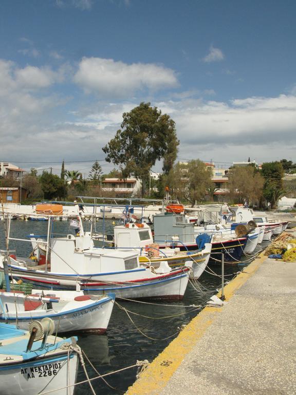 Aegina Stefanie Studios מראה חיצוני תמונה