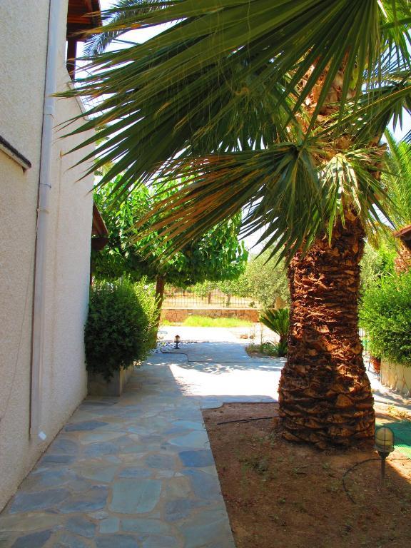 Aegina Stefanie Studios מראה חיצוני תמונה